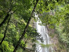 -姑婆山旅游区