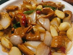 -金锅小厨(乐活街店)