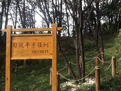 -福道