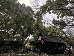 -上海醉白池公园