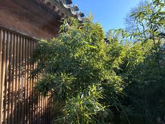 -曲廊院(东四十一条店)