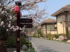 -金石唐风国际温泉会馆