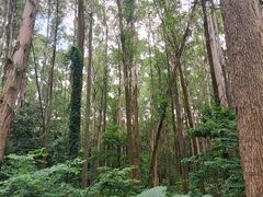 -南国桃园旅游度假区