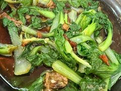 拌青菜-炬龙牛肉店(新华店)