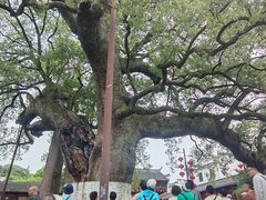 -新安江山水画廊风景区