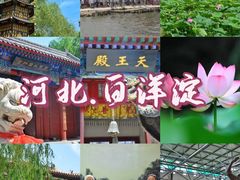 -白洋淀景区