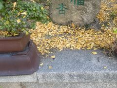 -苏州文庙(姑苏区)