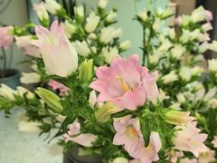 -EVERNAKED裸蛋糕(SOHO天山店)