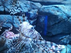 -成都浩海立方海洋公园