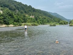 -鱼味馆(万佛湖店)
