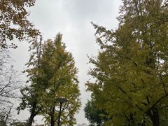 -上海自然博物馆