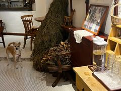 -Ginko银子(青龙街店)