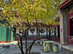 -宫事颐庭·老佛爷贵寿下午茶(颐和园店)