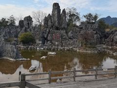 -千岛湖石林
