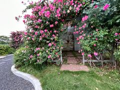 -三圣花乡旅游区