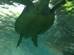 -洛阳龙门海洋馆