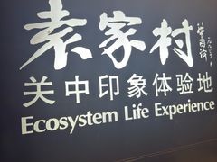 -袁家村关中印象体验地(大唐不夜城店)