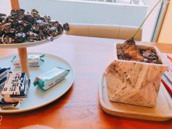 -THE LOG SALON 记录