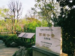 -西湖外事游船(花港观鱼码头)