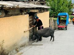 -硗碛藏寨·神木垒景区