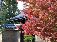 -天龙寺