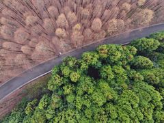 -山王坪喀斯特国家生态公园