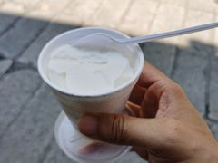 椰子雪糕-洪馨椰子