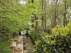 -中国茶叶博物馆(双峰馆区)