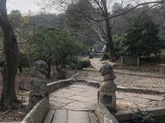 -雨花胜境