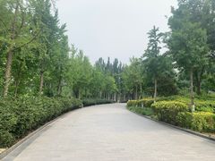 -廊坊文化艺术中心