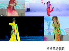 -梧桐花语舞蹈培训中心(潞城校区)