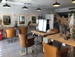 -净漪造型 PURE RIPPLE