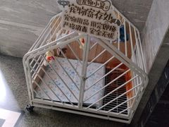 -张福记(五一公园店)