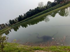 -夏河溪乡野公园