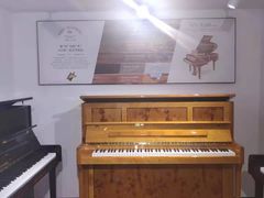 -柏斯琴行(汾阳店)
