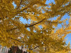 -皇后西斯汀饼店(文化路店)