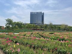 -春花秋色城市公园