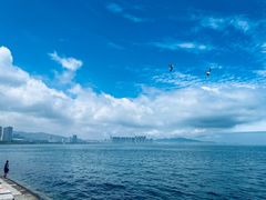 -悦海公园