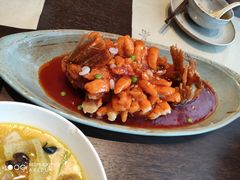 松鼠桂鱼-扬州狮子楼·非遗淮扬菜(总店)