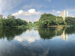 -晓港公园