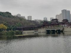 -重庆彩云湖湿地公园