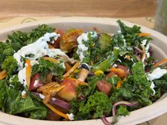 -油梨树 AVOCADO TREE(亮马桥店)