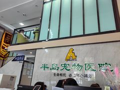 -半岛宠物医院24小时(科华中路店)