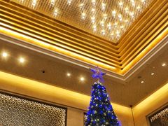 -成都保利公园皇冠假日酒店(熊猫基地店)