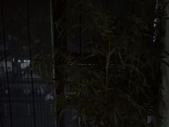 -上足·影院足道·SPA(红岭店)
