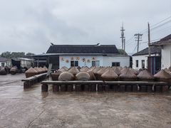 -苏州市吴中区光福窑上花果蜜饯厂