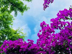 -大妙火锅·非物质文化遗产(东湖公园店)