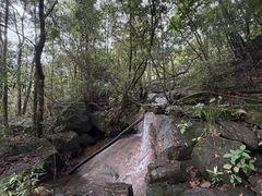 -广州市石门国家森林公园