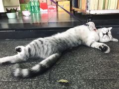 -老兵牛蹄店(下沙店)