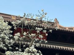 -灵谷景区